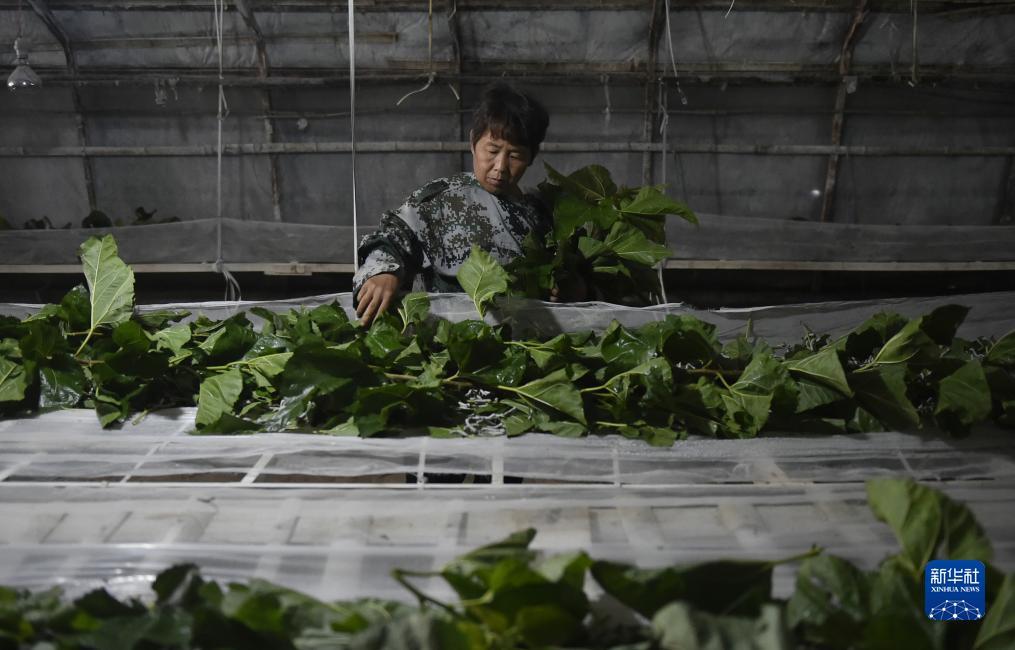 波克捕鱼为什么关闭了赠送功能？